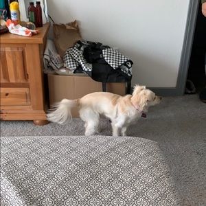 Meet your Posher, Stephanie